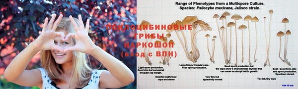кокаин колумбия Киреевск