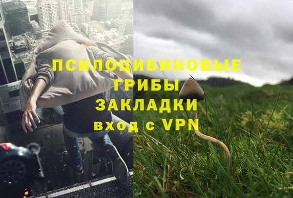 стафф Киренск
